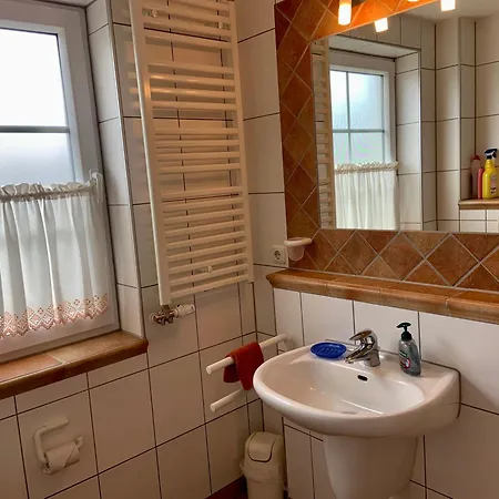 Sturmvogel * זינקסט