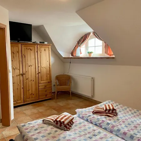 Sturmvogel זינקסט