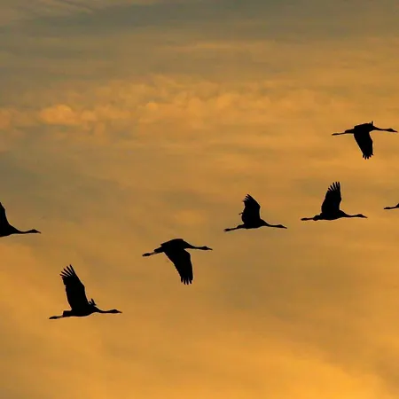 בית נופש Sturmvogel