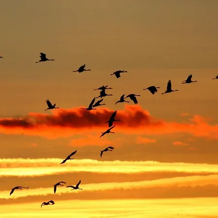 Sturmvogel בית נופש